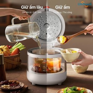 Nồi cơm điện trong suốt Deerma FB15W 3L GIÁ siêu RẺ