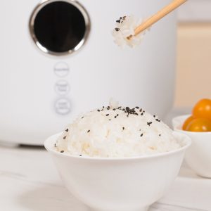 Nồi cơm điện mini ZOLELE RC201 2L