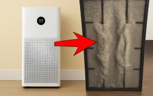 Tác hại của máy lọc không khí nếu sử dụng sai cách, bạn đã biết chưa?