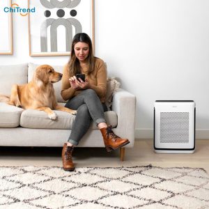 Máy lọc không khí Levoit Vital 200S hút lông thú cưng