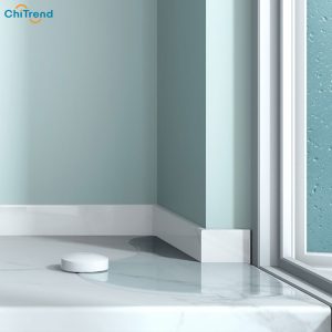 Cảm biến nước thông minh Xiaomi SJWS01LM