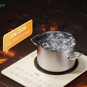 Bếp điện từ AQUA ICT2201R