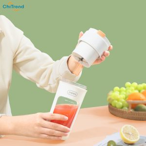 Máy xay sinh tố cầm tay Zhenmi ZMGZ-J5 Dung tích 340ml