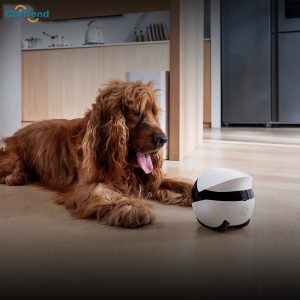 Robot camera giữ nhà Enabot EBO Air 2 Plus