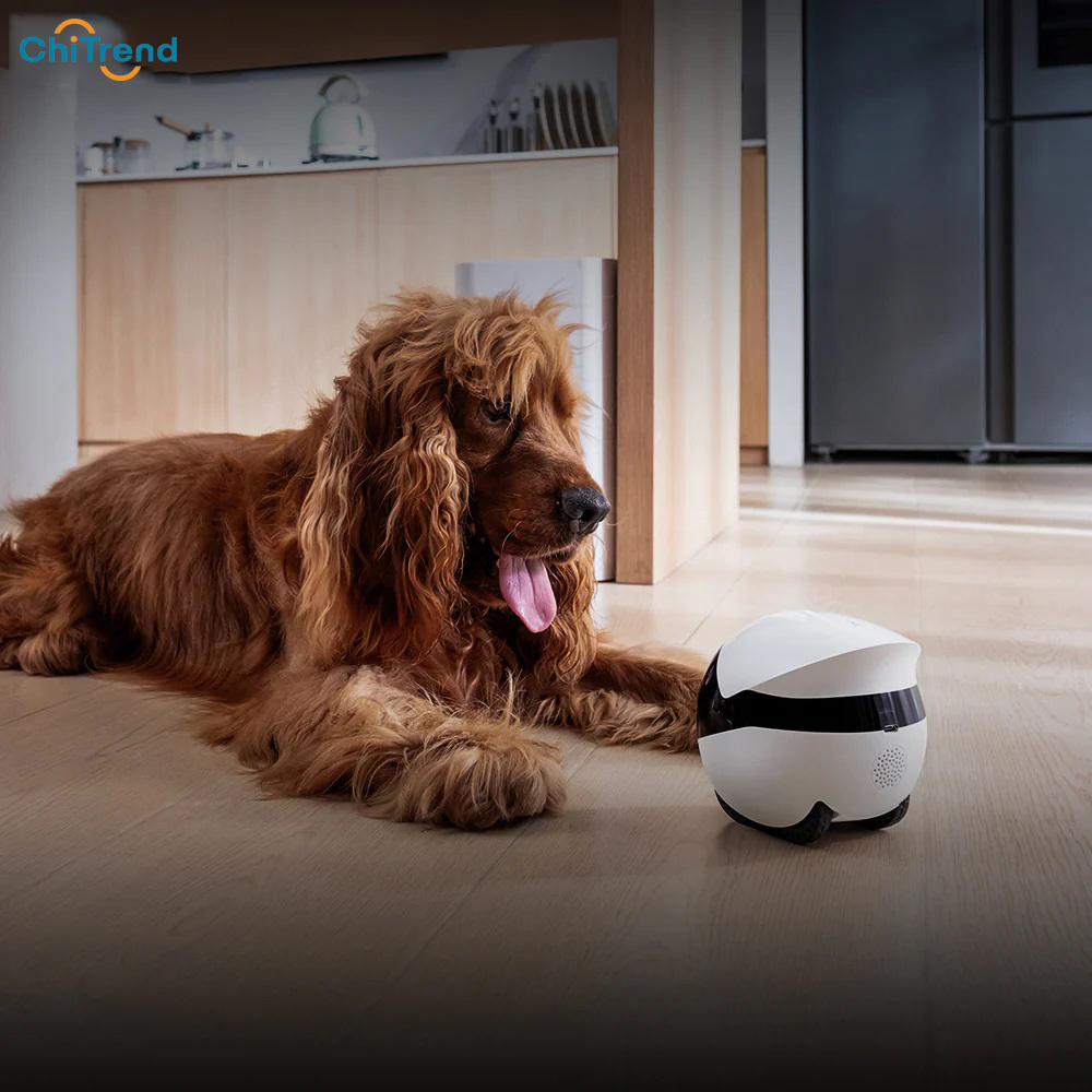 Robot camera giữ nhà Enabot EBO Air 2 Plus