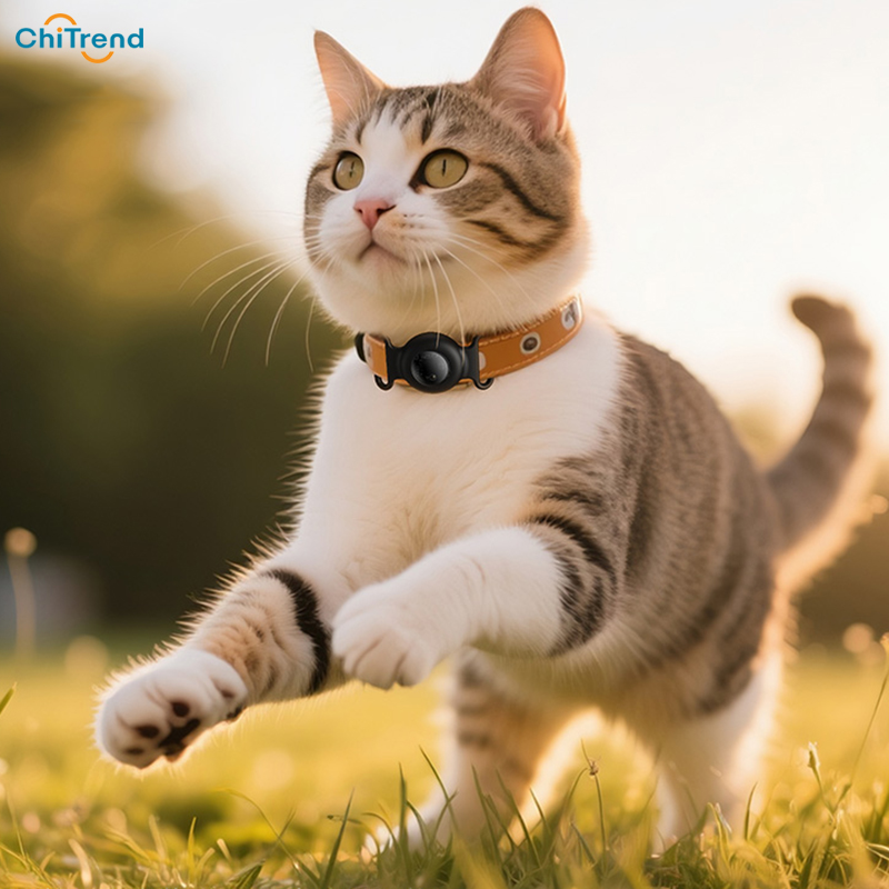 Thiết bị định vị thú cưng Hoco E91C - PIN 12 tháng