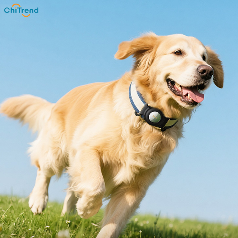 Thiết bị định vị thú cưng Hoco E91C - PIN 12 tháng