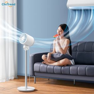 Quạt lưu thông không khí Deerma FD500