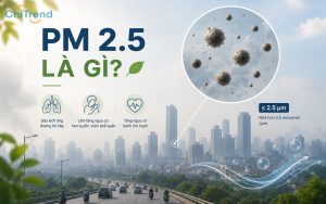 Tìm hiểu PM 2.5 là gì? Những tác hại mà chúng mang lại
