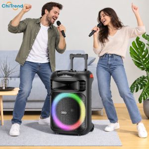 Loa karaoke Bluetooth RGB Hoco HA5 công suất 60W